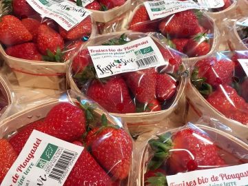 [🍓 LA SAISON DES FRAISES 🍓]
😎 On l'a attendue et puis avec les beaux jours, la voilà, la saison des fraises ! 

😋 Venez déguster les jolies fraises de...