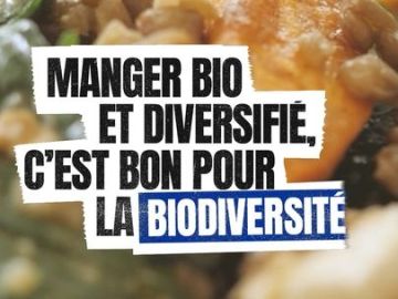 👍 Manger bio et diversifié, c’est bon pour la biodiversité ! 

#biocoop #biocoopfinisterra #coopérative #commercequitable #zérodéchet #recyclage #écologique...