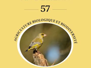 [🌱 AN DELIENN 🌱]
🪱🐝 Retrouvez dans notre lettre d'info, An Delienn n°57, un article expliquant le lien entre agriculture biologique et biodiversité ! 

📃...