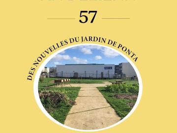 [🌱 AN DELIENN 🌱]
🌱 Retrouvez dans notre lettre d'info, An Delienn n°57, des nouvelles du jardin de Ponta situé derrière le magasin Kerbio Europe à Brest !...