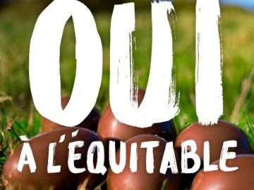 Vive le chocolat ! 🍫

Profitez de nos délicieux chocolats en toute confiance : ils sont 100% bio avec du cacao 100% issu du commerce équitable.

Nous...