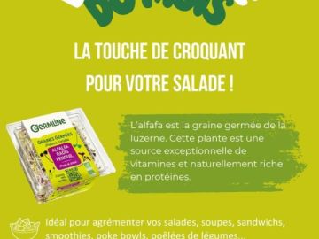 Découverte du mois

Un touche de croquant pour vos salades d'été ! 

🌱 Délicieuses graines germées d'alfalfa, radis et fenouil, prêtes à l'emploi ! 
🥗 Au...