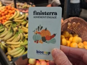 Adhérer à la coopérative, c'est :
- s'engager dans un système alternatif respectueux des personnes et de l'environnement ✊,
- choisir les grandes...