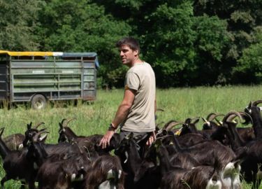 La Ferme de Guillaume Qu&eacute;r&eacute;