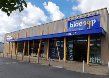 Coccinelle - Saint-Martin-des-Champs