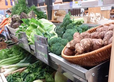 La saisonnalit&eacute;