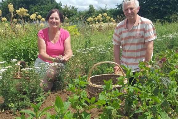 Les Bonnes Herbes de Kerlaoudet