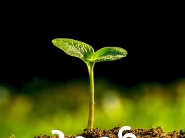 🎉 L'équipe de Finisterra vous souhaite une très belle année 2026 ! 🎉

✊ Chez Biocoop et Finisterra nous faisons le vœu d'avoir de la bio sur toutes les...