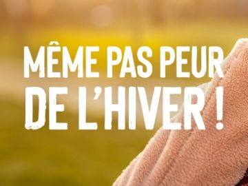 Même pas peur de l’hiver 🧣 !

📢 Du 16 octobre au 3 novembre 2025 inclus, profitez de solutions naturelles dans notre magasin Biocoop pour protéger votre...