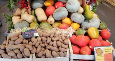 Loi Egalim, où en est-on en ce début 2026 ?