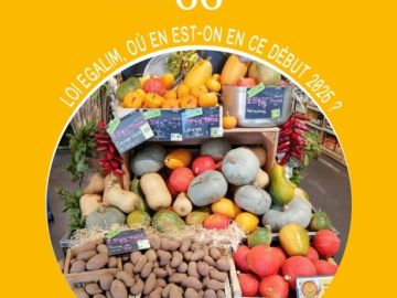 [🌱 AN DELIENN 🌱]
🔍 Après les différentes propositions de loi Duplomb sur la réautorisation des néonicotinoïdes, le comité de rédaction s'est demandé où nous...