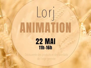 Le 22 mai dans votre magasin Finisterra📍Kerbio Europe, venez découvrir avec @lorj.cosmetics les produits et les bienfaits de l'orge germée.

#biocoop...