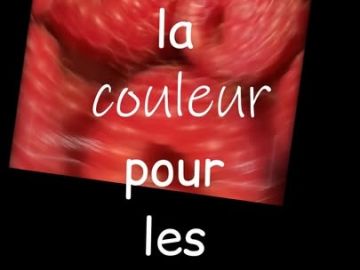 🌞 Les fruits de saison sont à l'honneur chez Finisterra Biocoop ! 🍑🍒🫐

L'été nous offre une belle variété de fruits bio, gourmands et riches en saveurs....