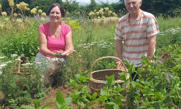 Les Bonnes Herbes de Kerlaoudet