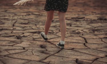 Canicule - Production en souffrance