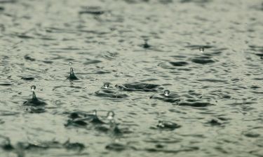 Sécheresse  et usages de l'eau : et la bio dans tout ça ?