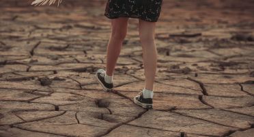 Canicule - Production en souffrance