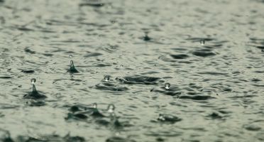 Sécheresse  et usages de l'eau : et la bio dans tout ça ?